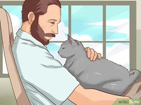 Image titled Get a Cat to Like You Step 7