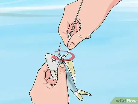 Image titled Kite Fish Step 24