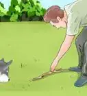 Train a Blind Dog