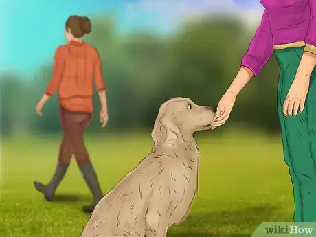 Image titled Keep a Dog from Lunging at Cars and People Step 6