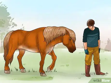 Image titled Tell if Your Horse Needs Hock Injections Step 3