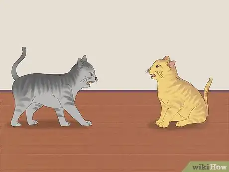 Image titled Know if Cats Are Playing or Fighting Step 1