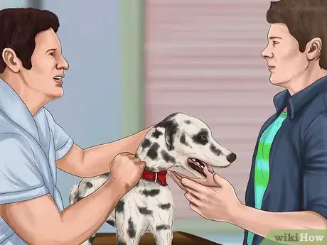 Image titled Identify a Dalmatian Step 9