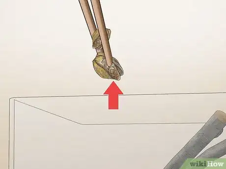 Image titled Take Care of a Praying Mantis Step 11
