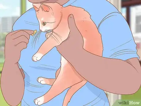 Image titled Hold a Cat Step 17