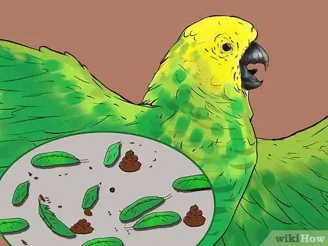 Image titled Know if an Amazon Parrot Is Right for You Step 10