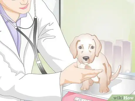 Image titled Determine the Proper Frontline Plus Dosage for Dogs Step 4