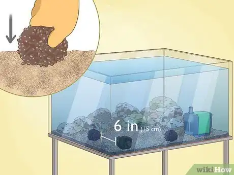 Image titled Grow Coral in an Aquarium Step 15