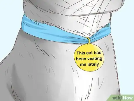 Image titled Know if a Cat Is a Stray Step 12