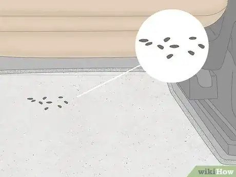Image titled Get a Mouse Out of Your Car Step 7