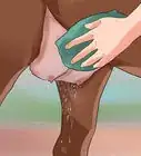 Clean a Mare's Female Parts