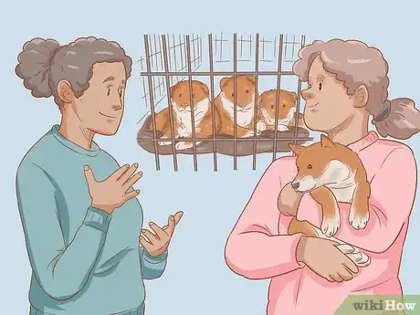 Image titled Choose a Shiba Inu Puppy Step 11