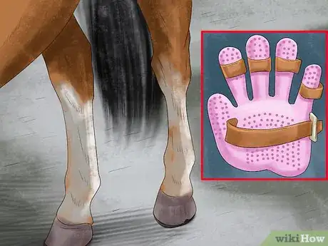 Image titled Use a Curry Comb on a Horse Step 3