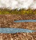 Reduce Stormwater Runoff at Your Home