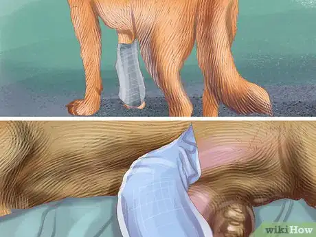 Image titled Care for Your Pet's Bandages Step 5