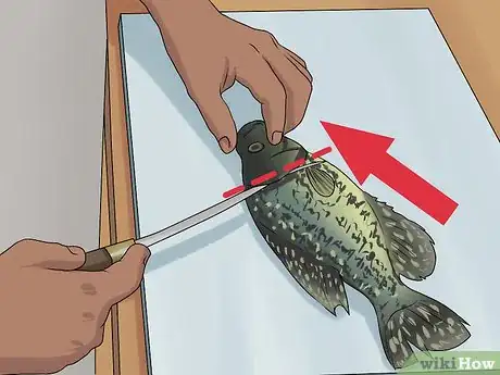 Image titled Clean Crappie Step 2