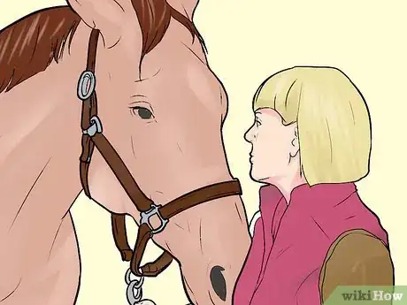 Image titled Befriend a Horse Step 10