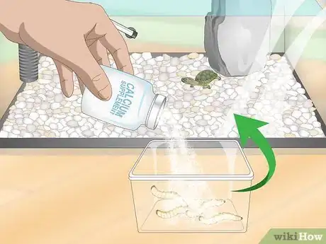 Image titled Take Care of Mini Pet Turtles Step 10
