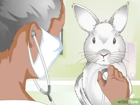 Image titled Keep a Rabbit Clean Step 12