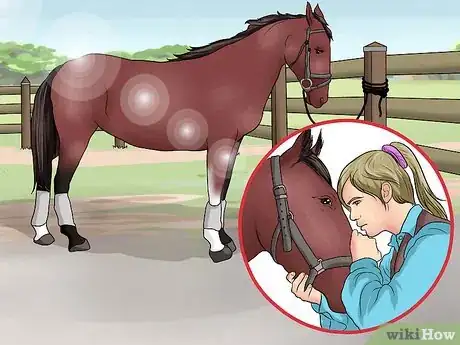 Image titled Pick a Horse Hoof Step 1
