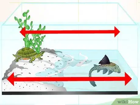 Image titled Put a Sucker Fish in a Tank With a Turtle Step 10