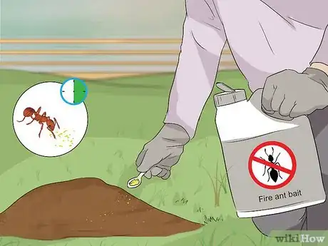Image titled Get Rid of Fire Ants Step 1