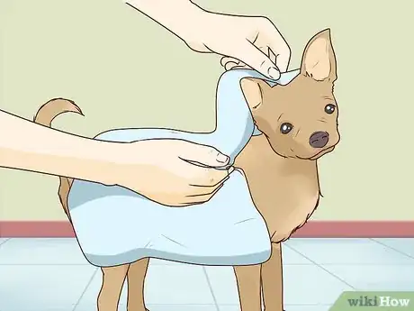 Image titled Wash a Chihuahua Step 9