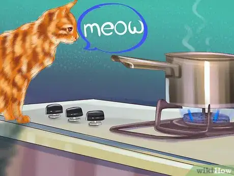 Image titled Understand the Cat's Meow Step 2