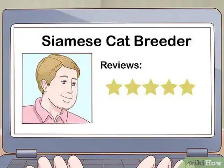 Image titled Decide if a Siamese Cat Is Right for You Step 10
