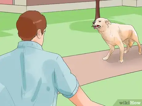 Image titled Catch a Dog Step 1