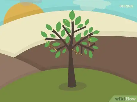 Image titled Dwarf an Apple Tree Step 05