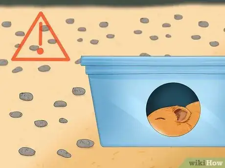 Image titled Train Your Hamster Step 13