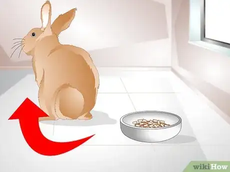 Image titled Switch a Rabbit’s Food Brand Step 7