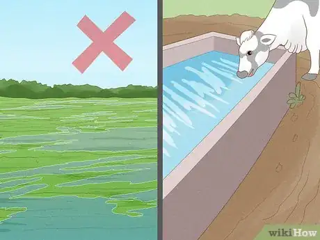 Imagen titulada Get Rid of Horse Flies Step 10