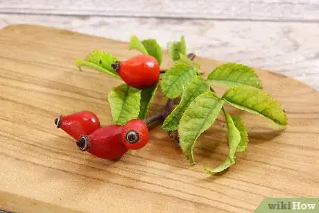 Imagen titulada Preserve Rose Hips Step 2