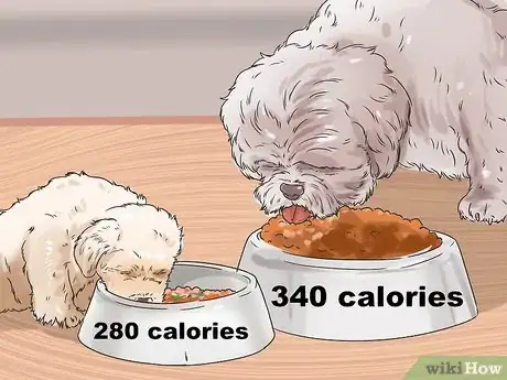 Imagen titulada Feed Your Shih Tzu Step 2