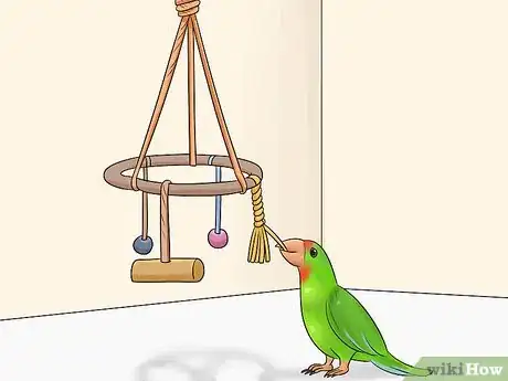 Imagen titulada Know if a Parrotlet Is Right for You Step 12