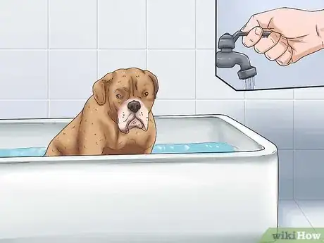 Imagen titulada Give Your Large Dog a Bath Step 4