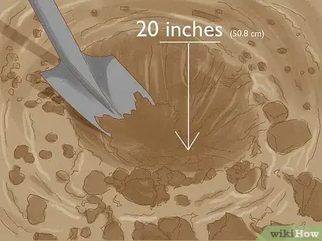 Imagen titulada Plant Mahogany Trees Step 4