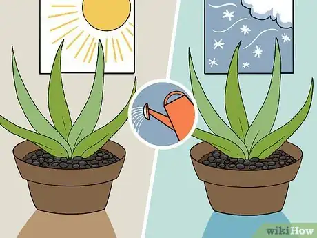 Imagen titulada Revive a Dying Aloe Vera Plant Step 8