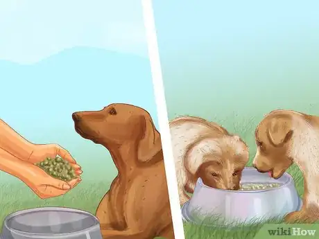 Imagen titulada Choose a Place for Your Dog to Eat Step 11