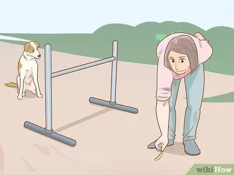 Imagen titulada Teach Your Dog to Jump Step 15