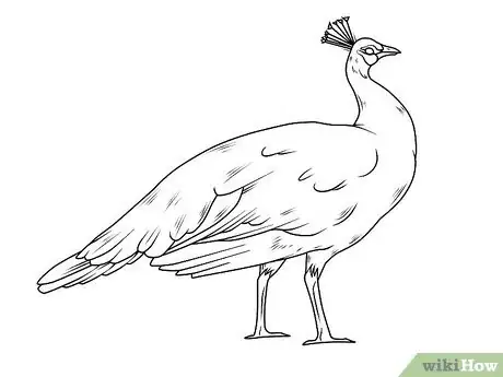 Imagen titulada Draw an Exotic Peacock Step 16