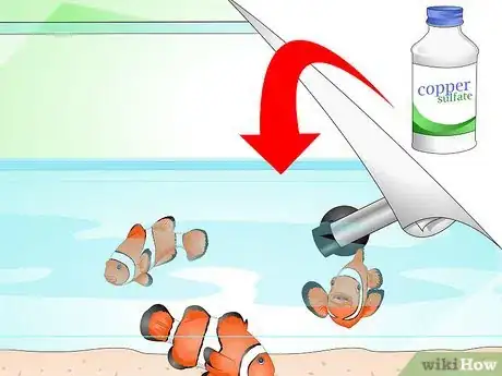 Imagen titulada Tell if Your Fish Is Sick Step 18