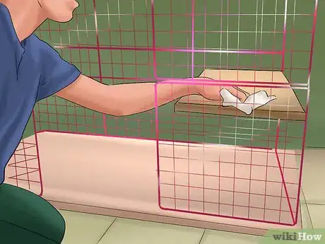 Imagen titulada Care for a New Pet Rabbit Step 19