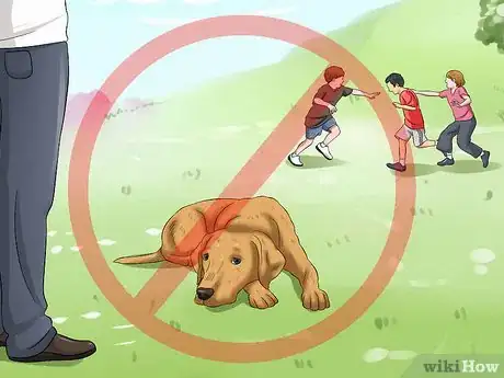 Imagen titulada Desensitize Your Dog Step 4