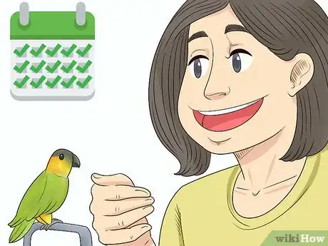 Imagen titulada Know if a Parrotlet Is Right for You Step 18