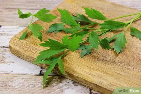 Imagen titulada Dry Herbs in the Oven Step 6