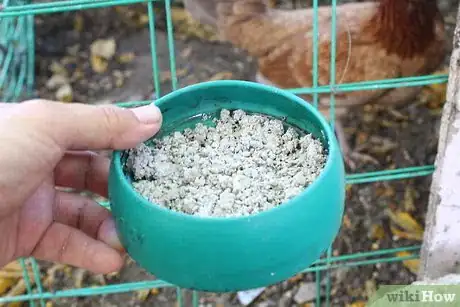 Imagen titulada Prepare Oyster Shells for Chickens Step 7