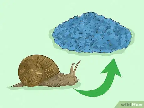 Imagen titulada Get Rid of Garden Snails Step 21